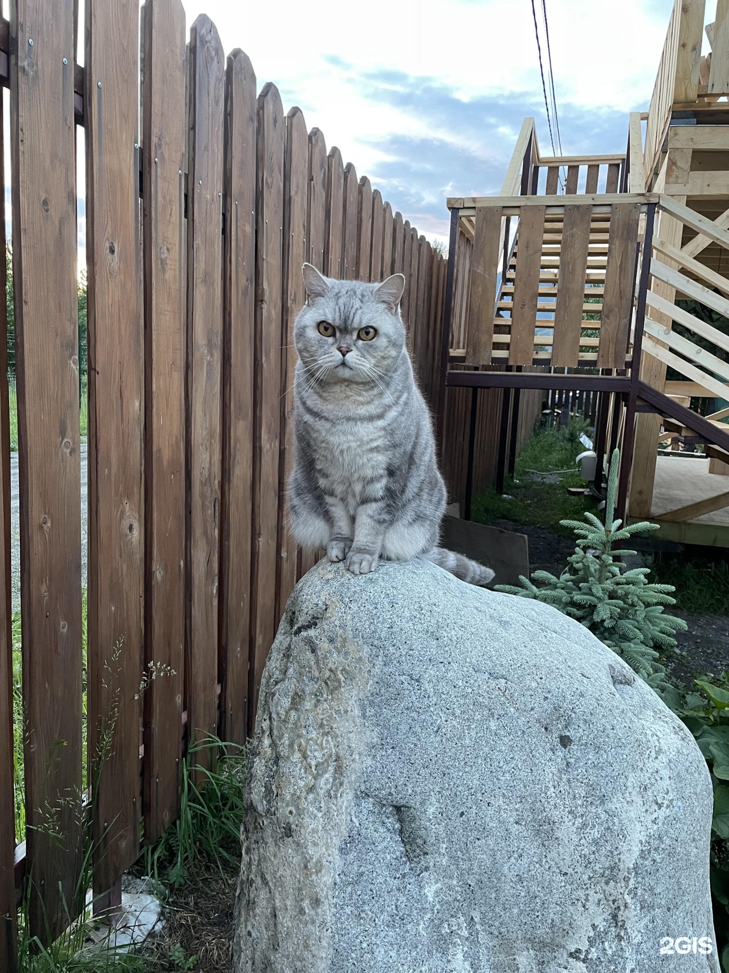 Рублёвка - фото 26