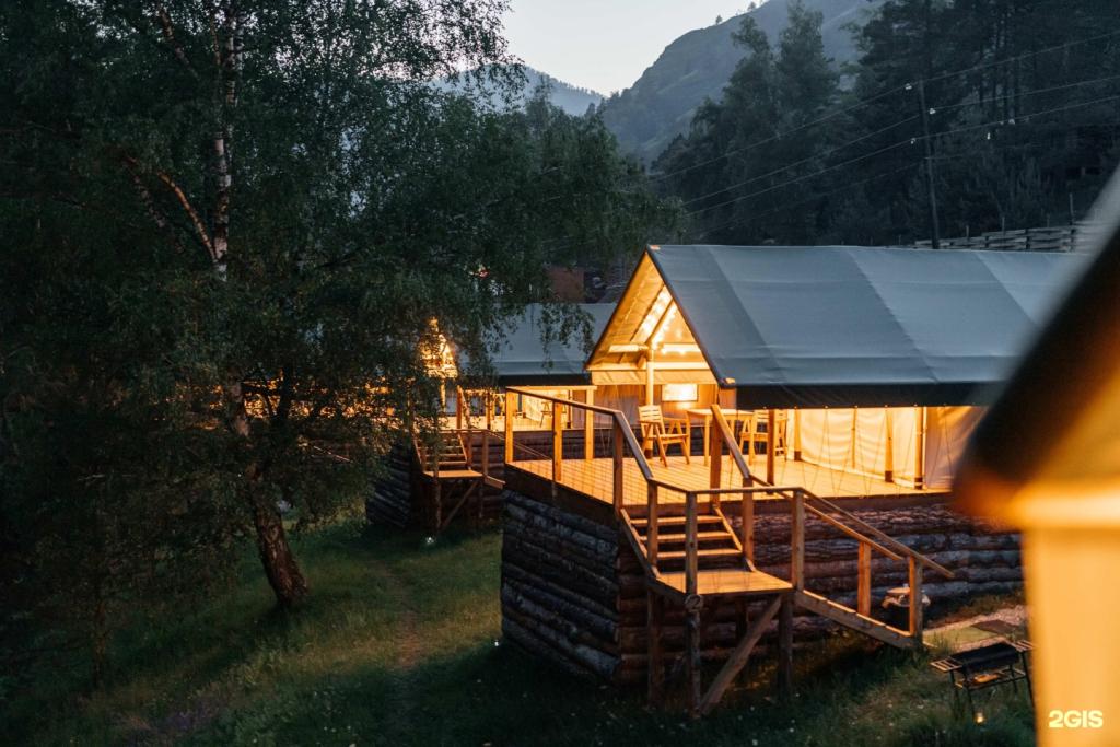 Бадан - фото 1