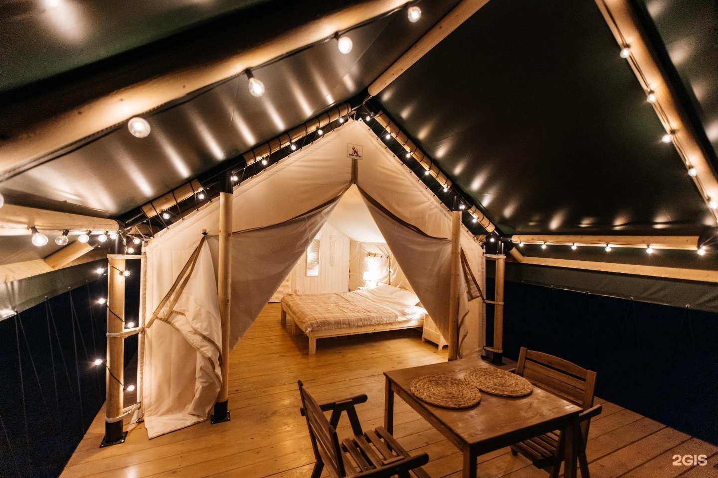 Бадан - фото 2