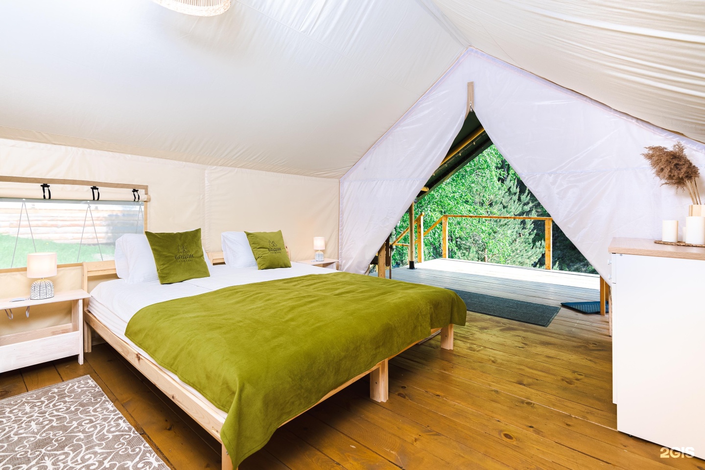 Бадан - фото 3