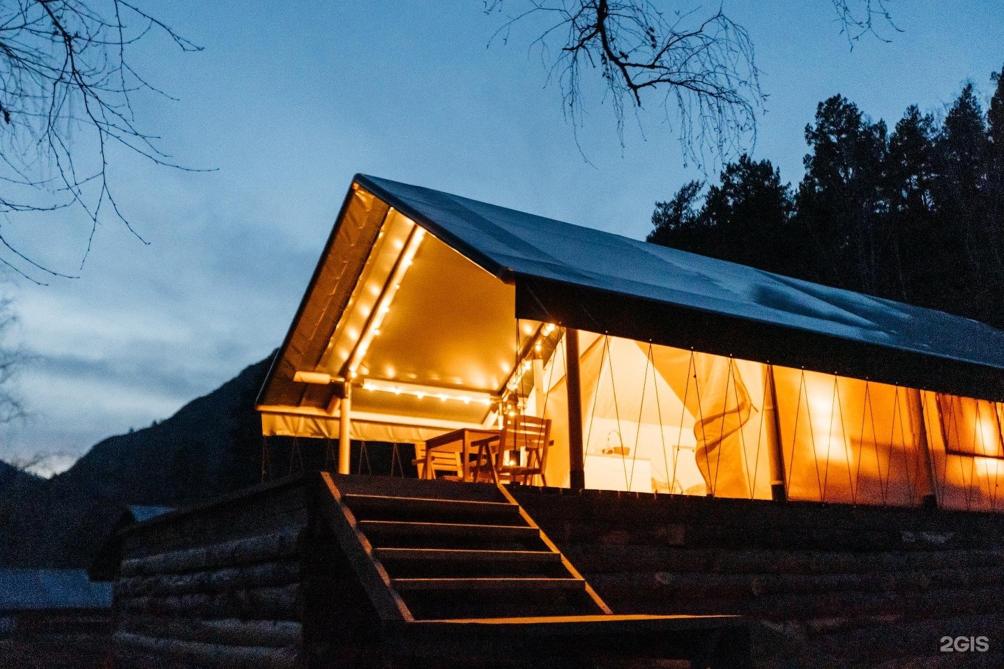 Бадан - фото 5