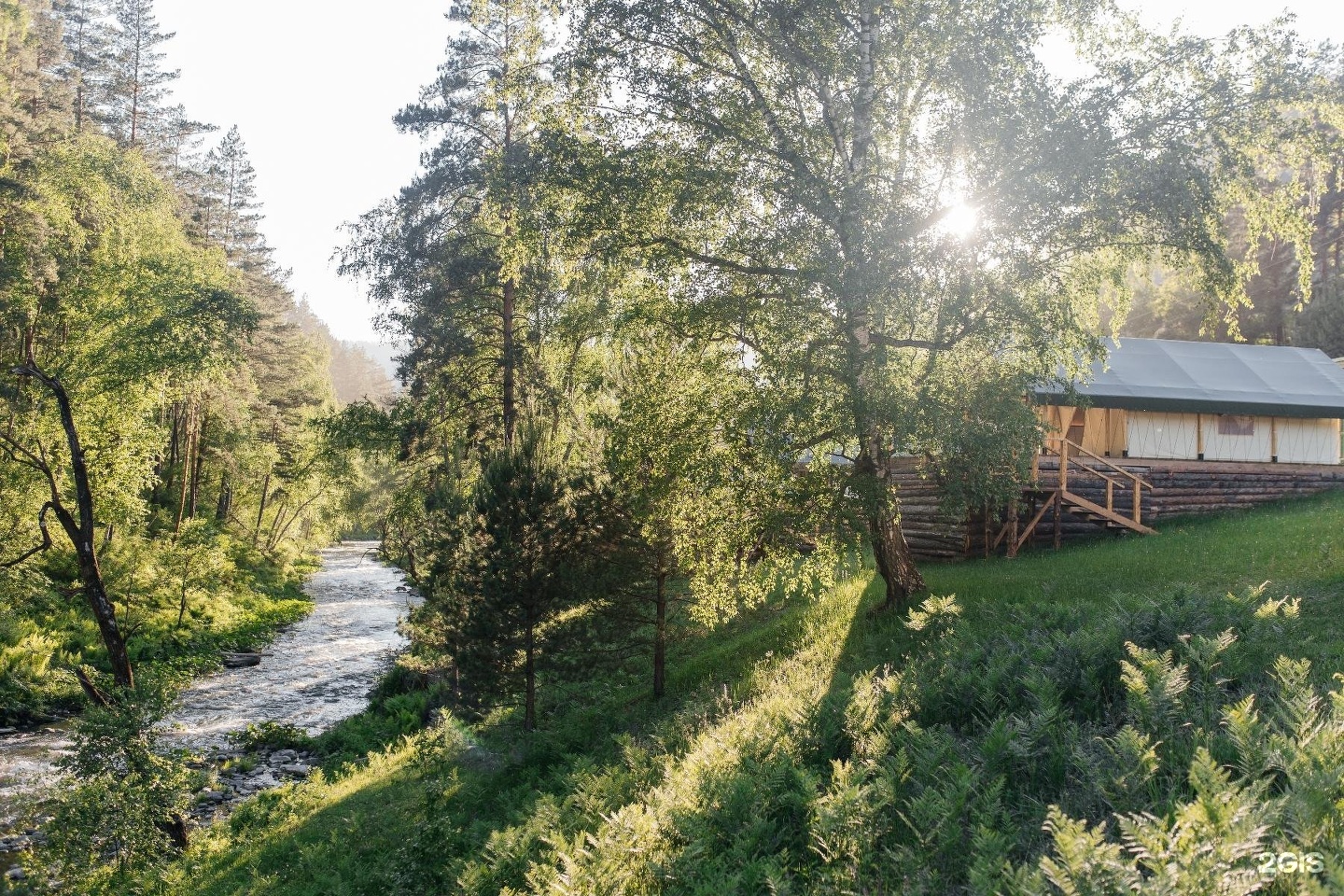 Бадан - фото 6