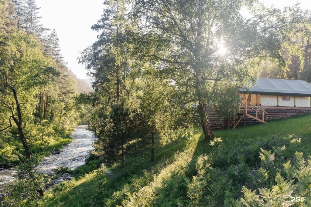 Бадан - фото 6