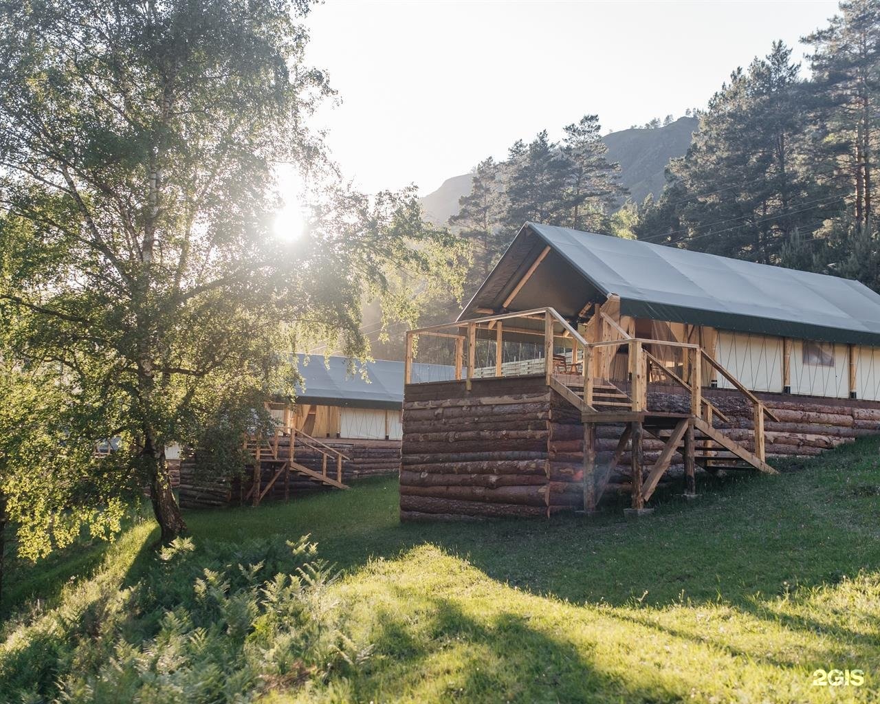 Бадан - фото 7