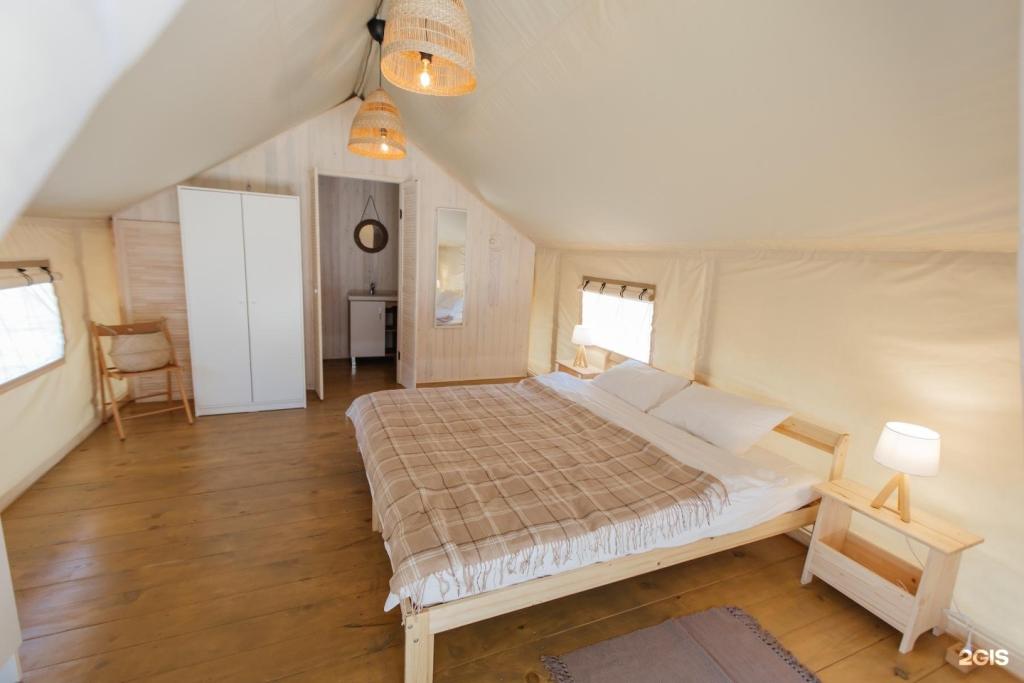 Бадан - фото 8