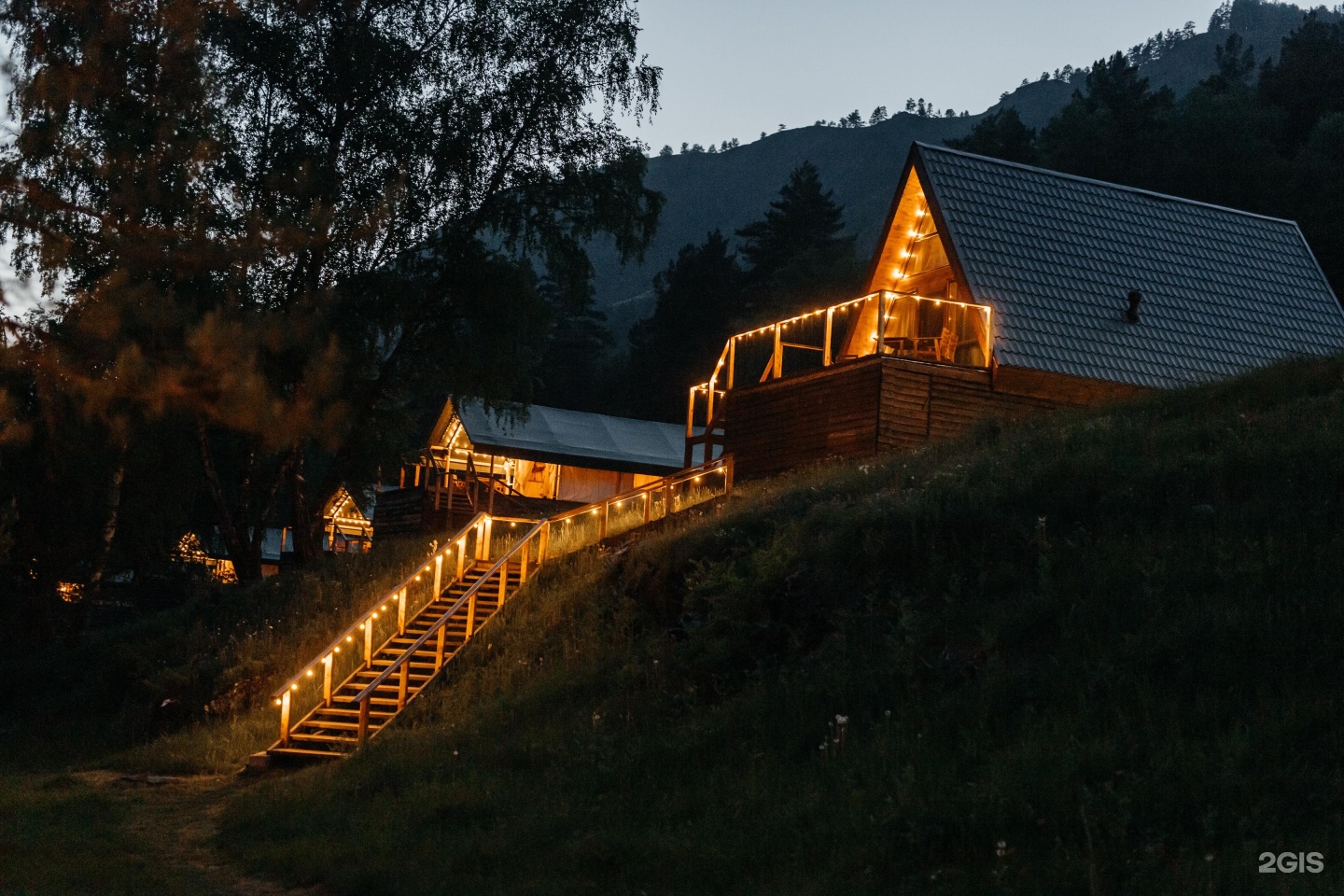 Бадан - фото 11