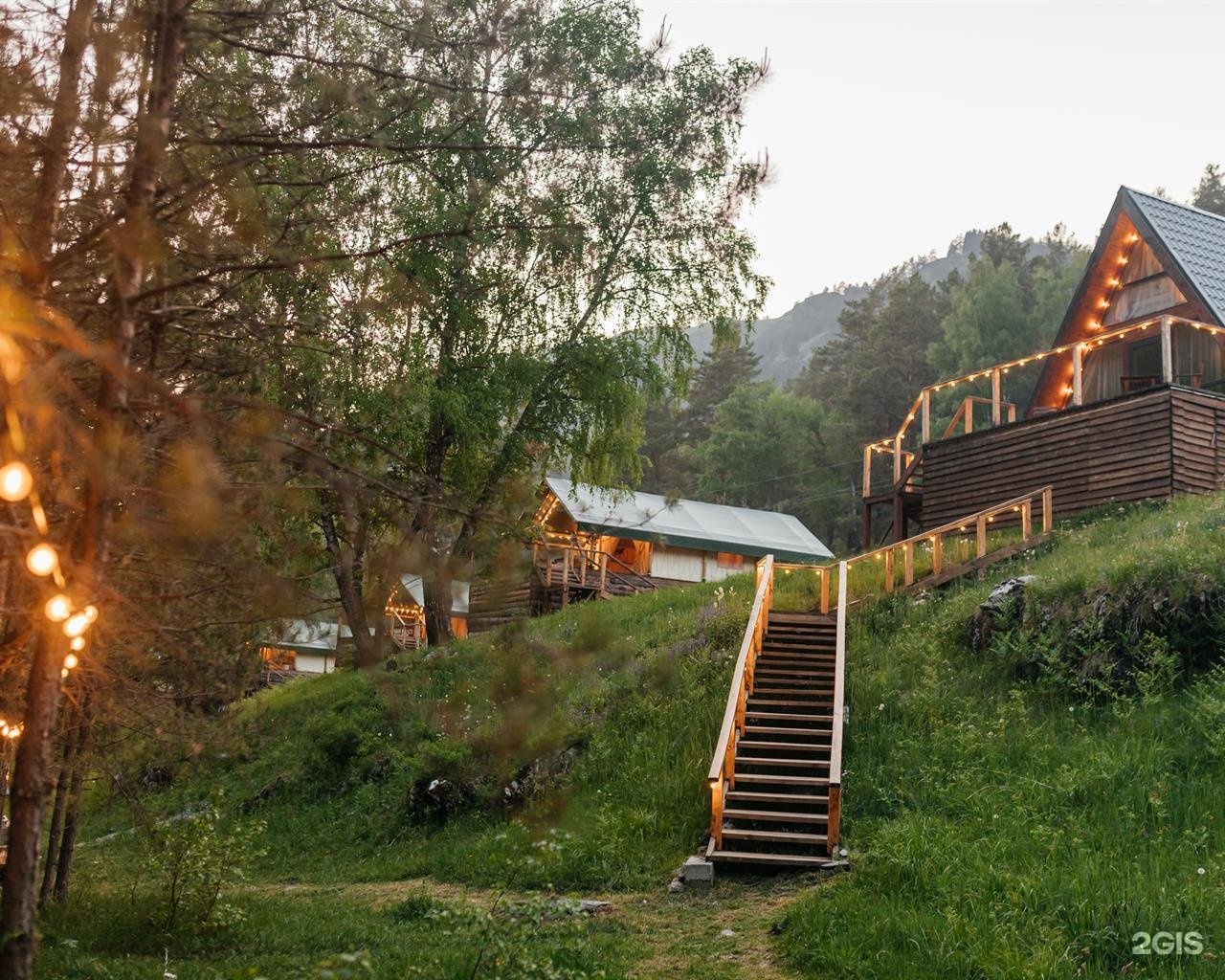 Бадан - фото 15