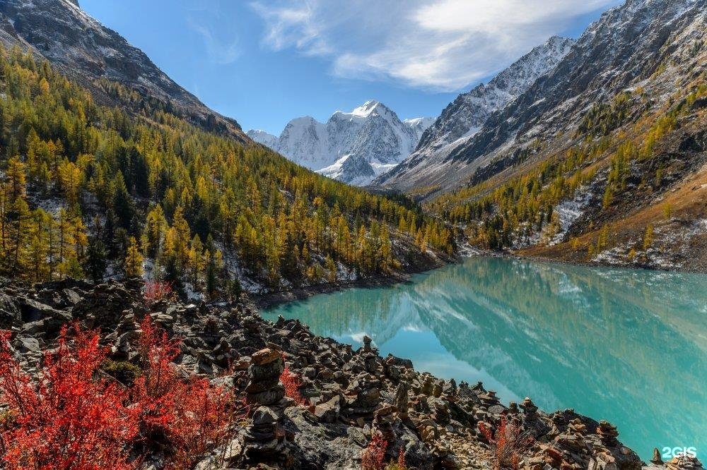 Бадан - фото 19