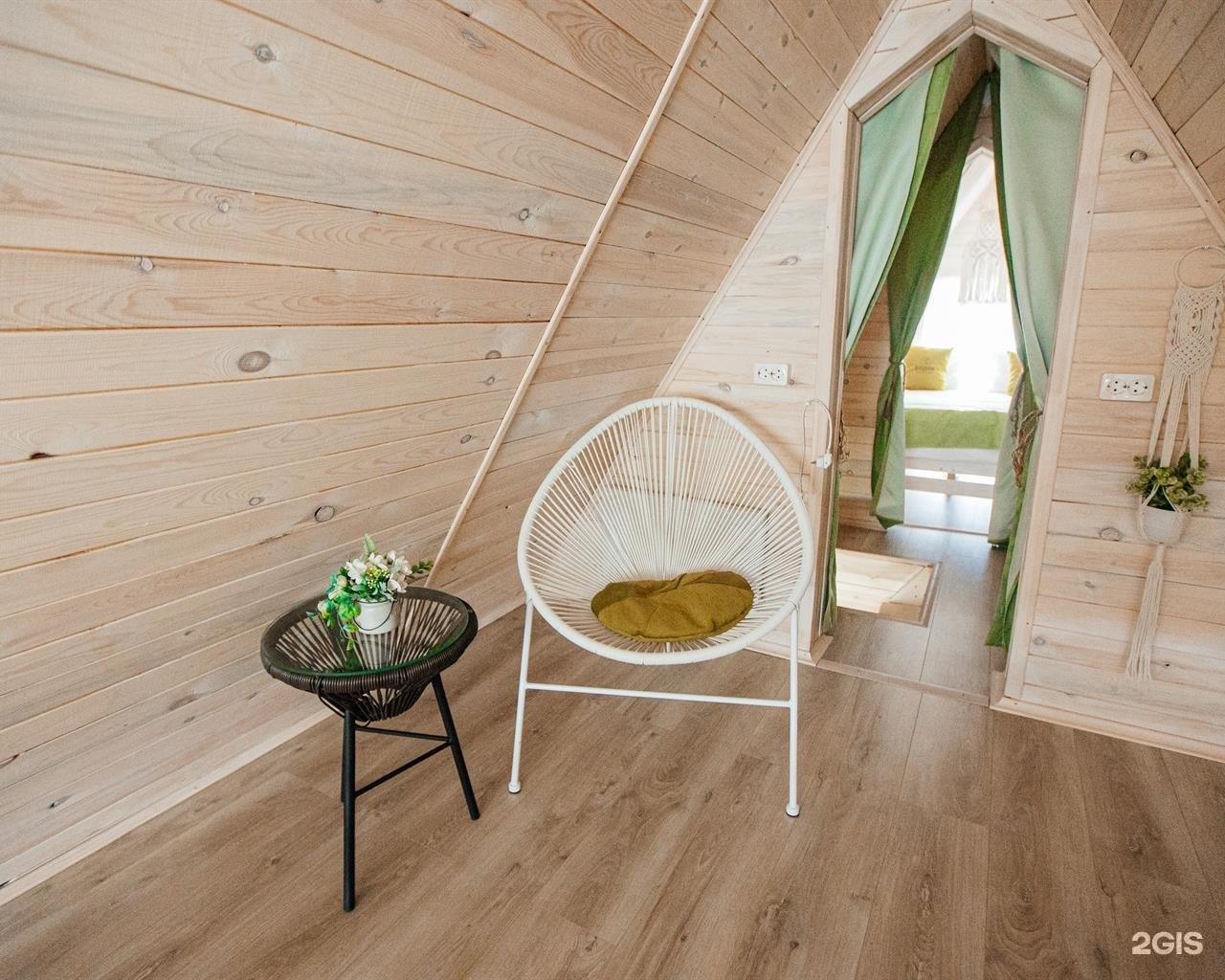 Бадан - фото 20