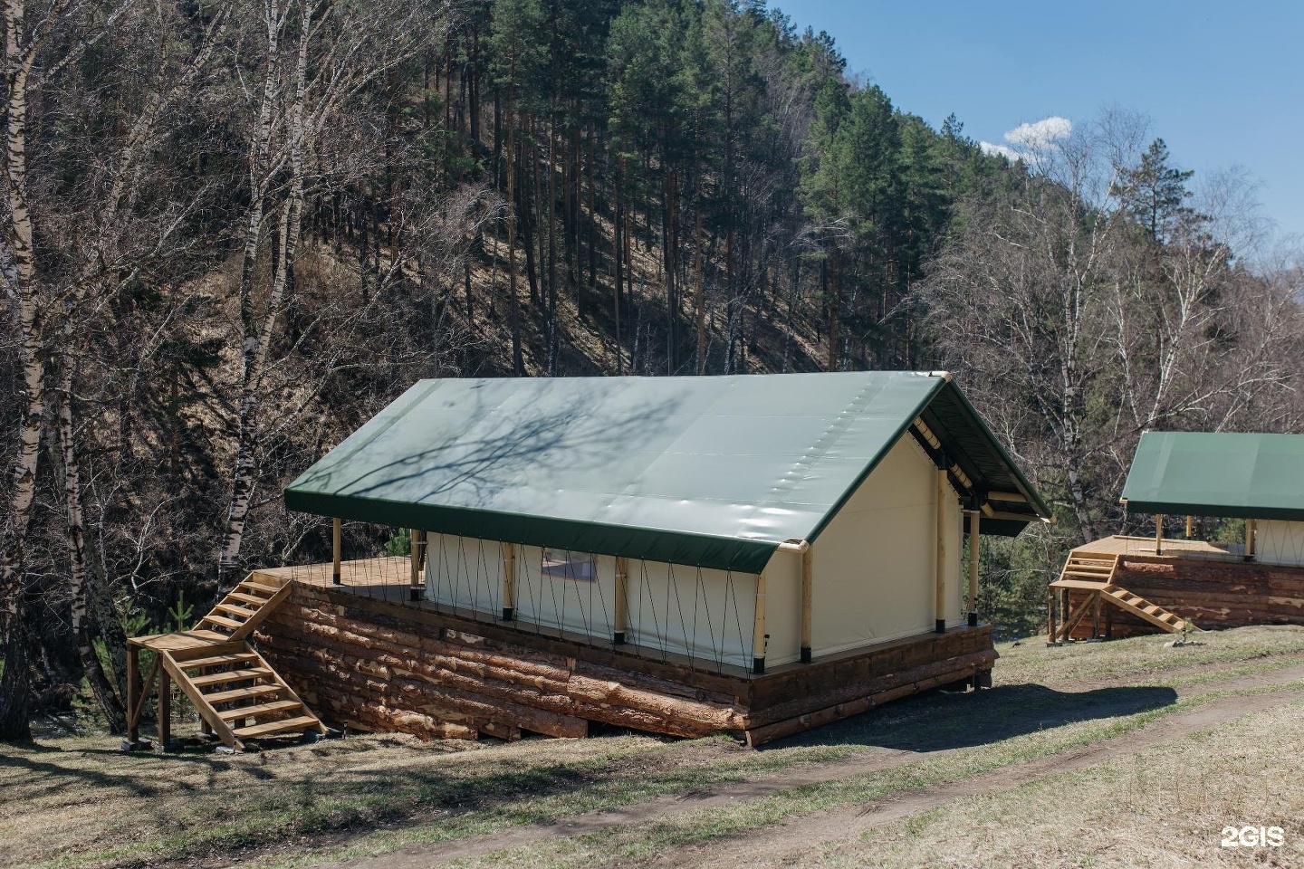 Бадан - фото 21