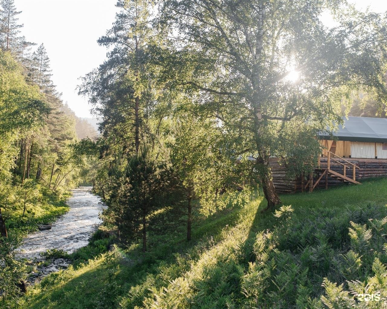 Бадан - фото 22