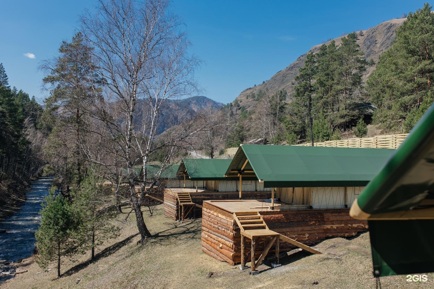 Бадан - фото 23