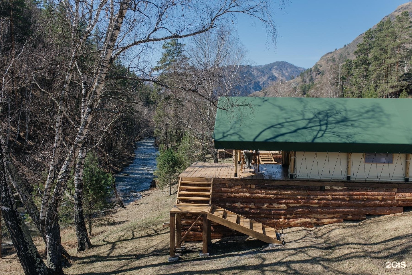 Бадан - фото 24