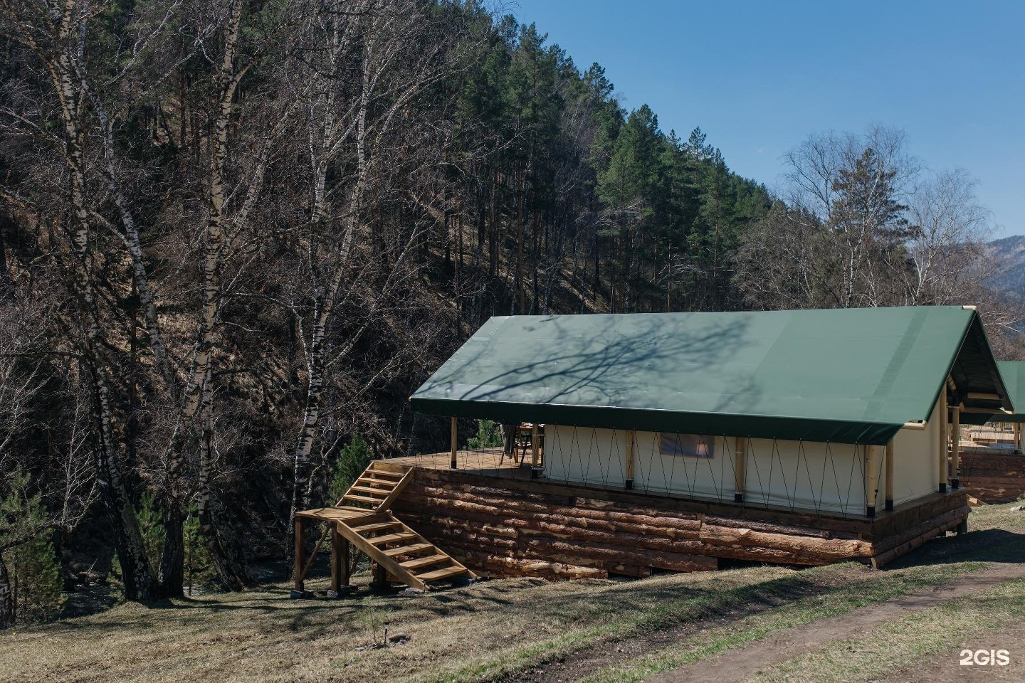 Бадан - фото 27