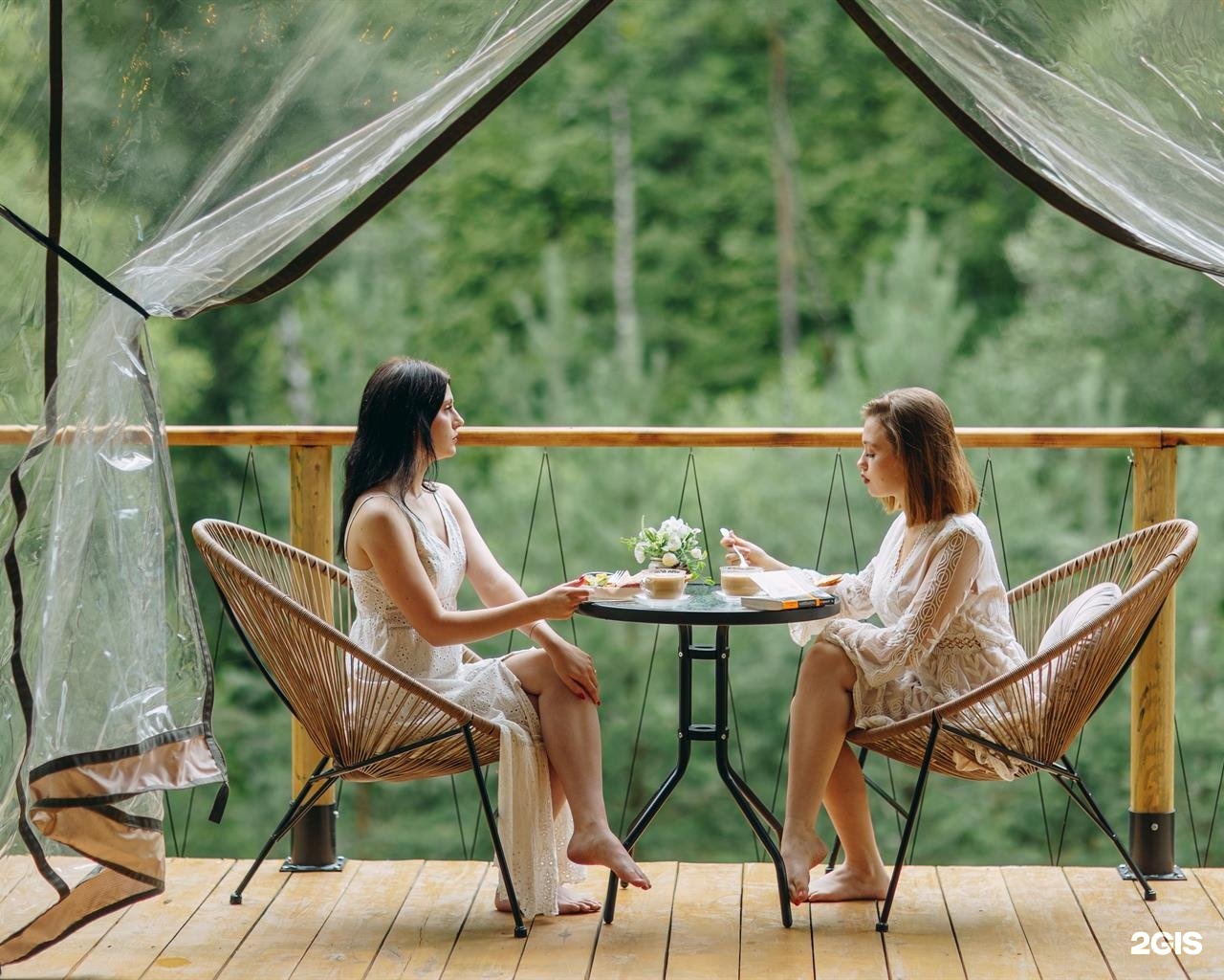 Бадан - фото 30