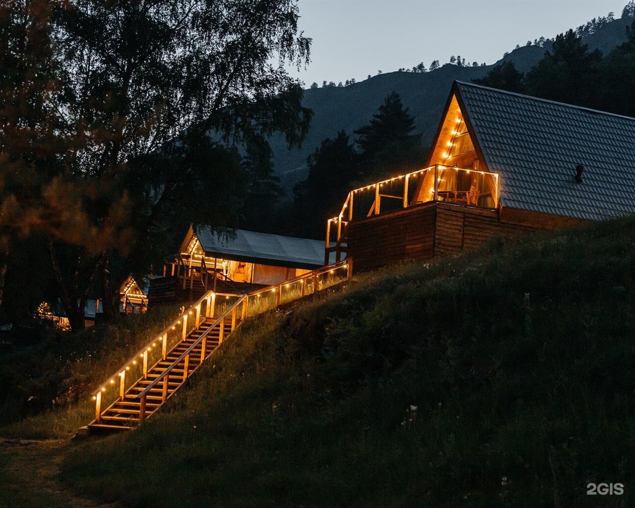 Бадан - фото 35