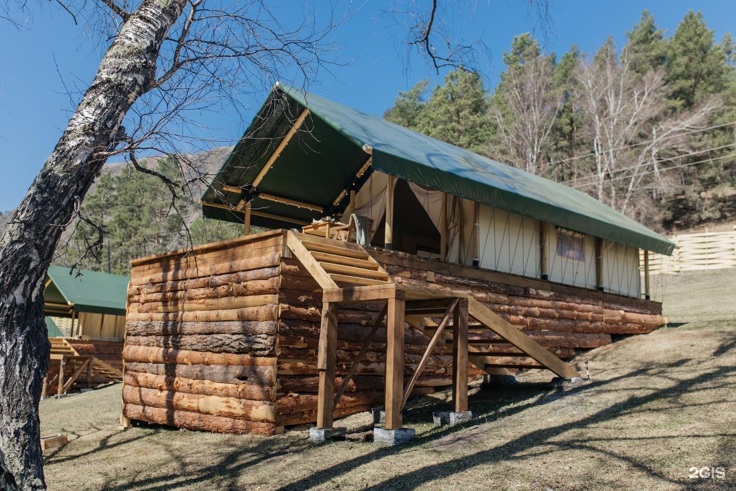 Бадан - фото 36