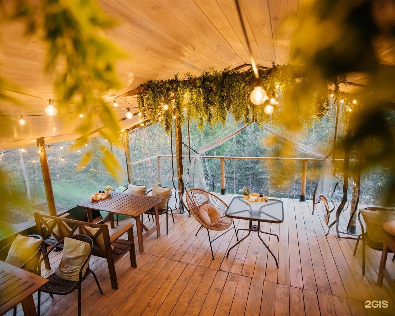 Бадан - фото 63