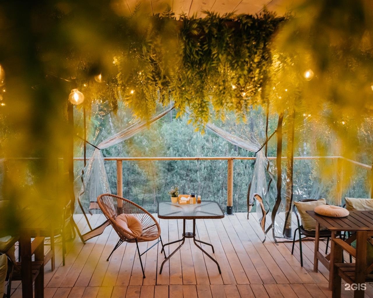 Бадан - фото 70