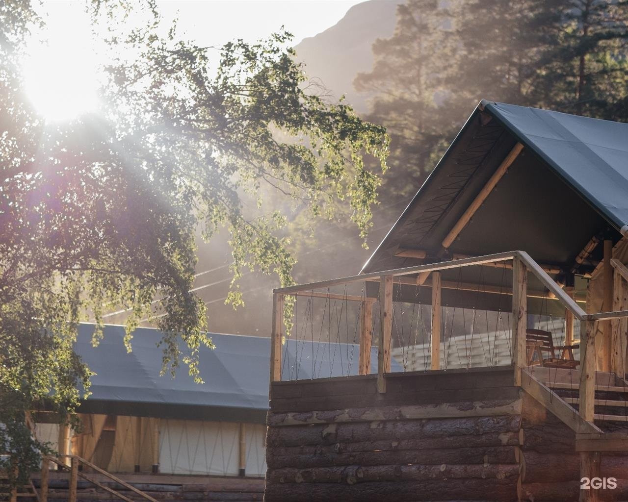 Бадан - фото 86