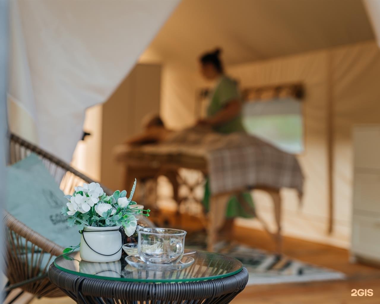 Бадан - фото 100