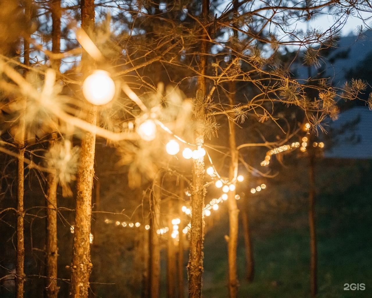 Бадан - фото 108