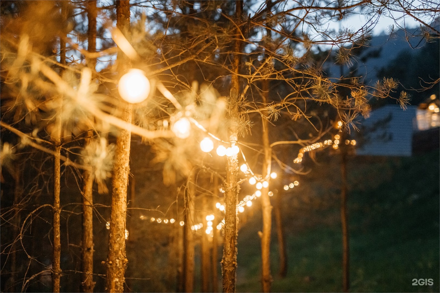 Сафари-тент комфорт у реки - фото 21