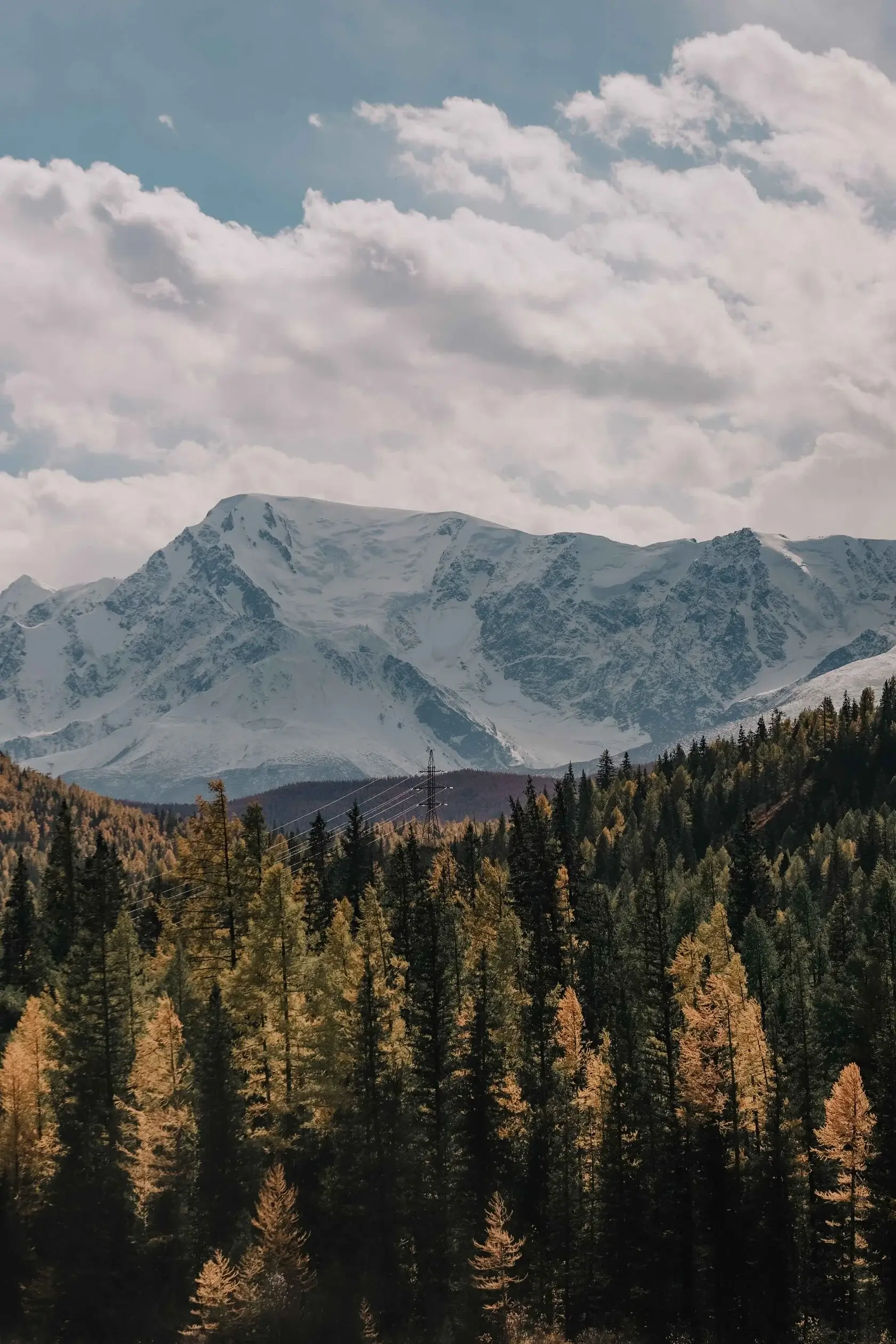 Осенний Алтай - фото 6