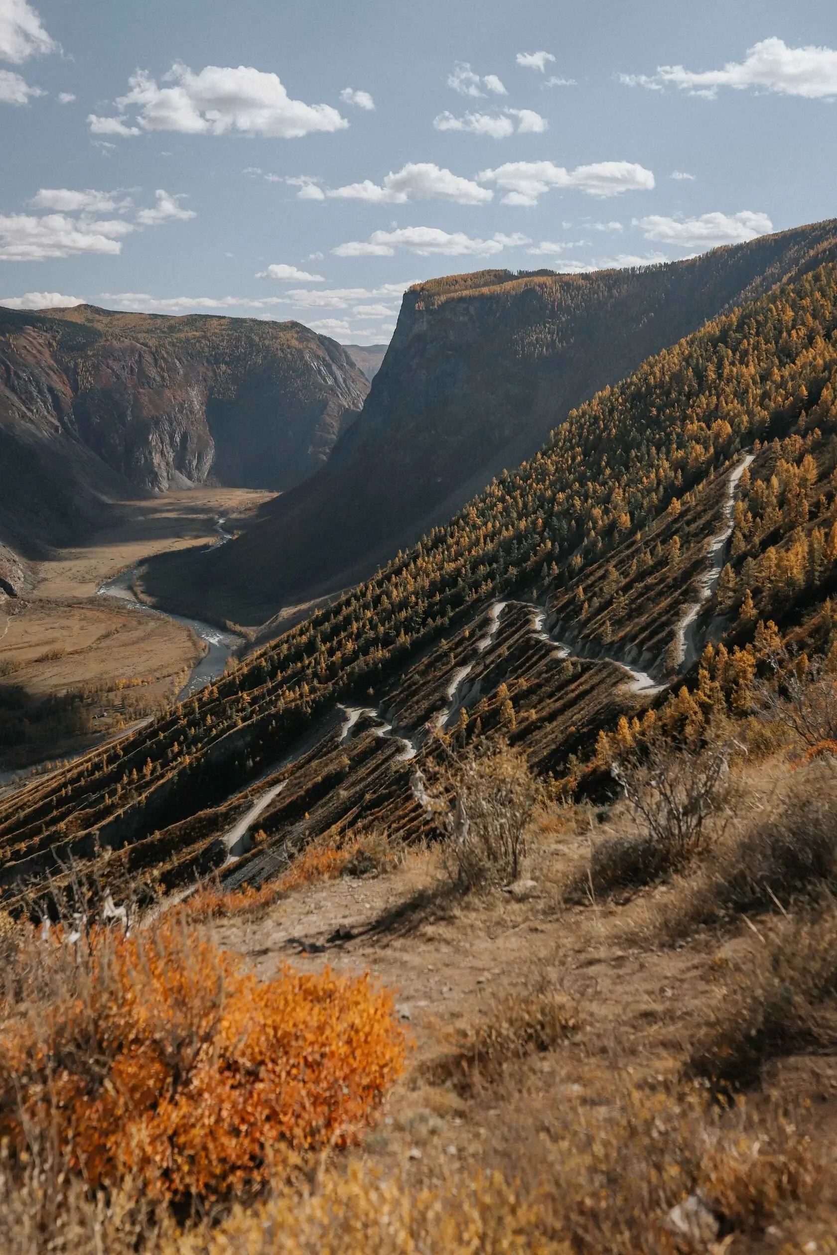 Осенний Алтай - фото 7
