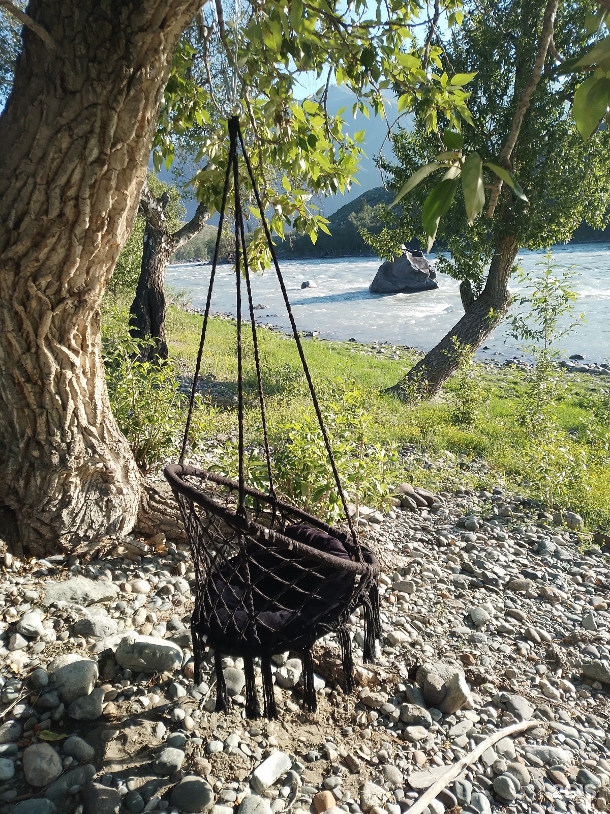 Катунские Террасы - фото 29