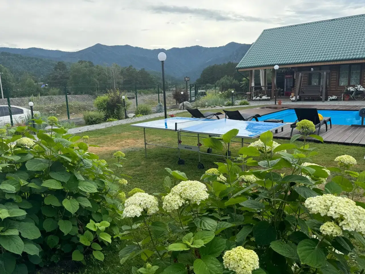 Чемалка - фото 1