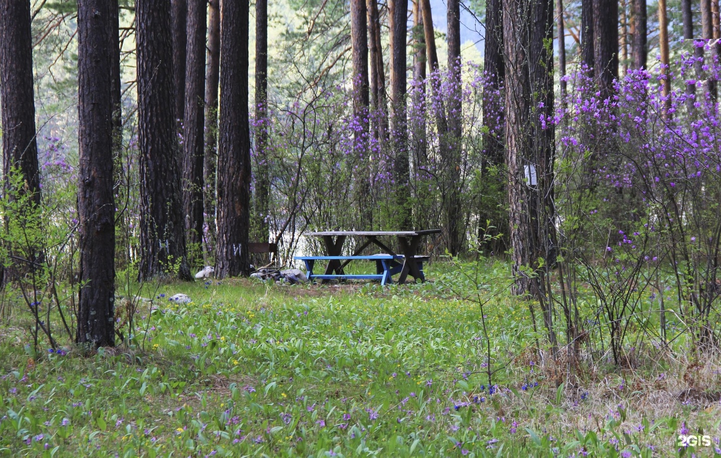 Алатырь - фото 73