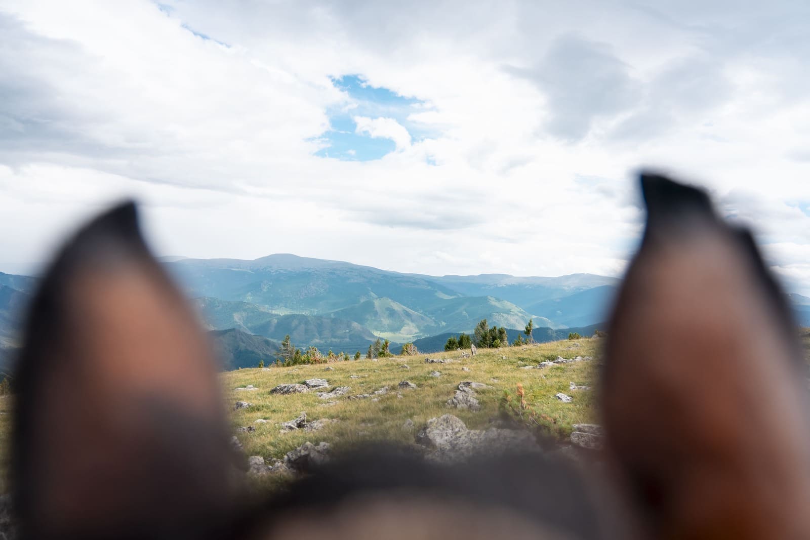 "Погружение в Алтай" - фото 8
