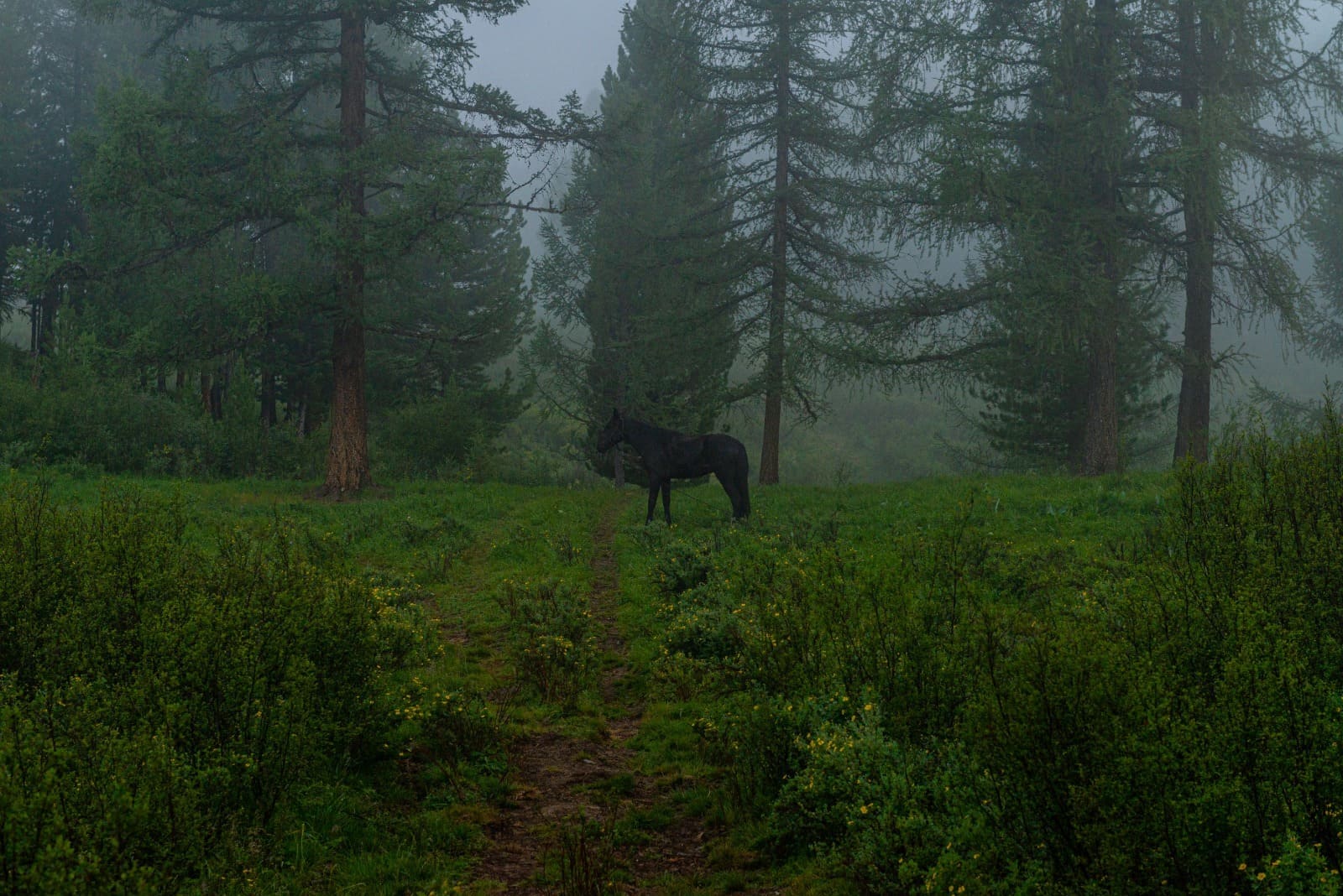 "Приключения на Алтае" - фото 7