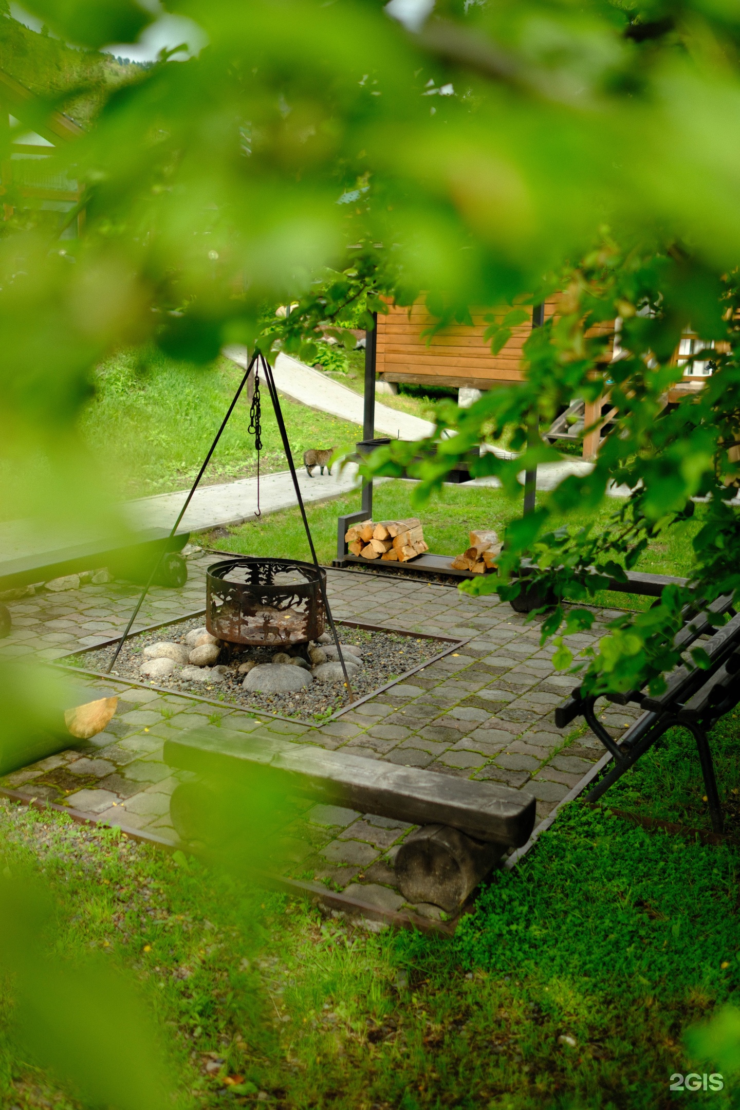 Чемалка - фото 45