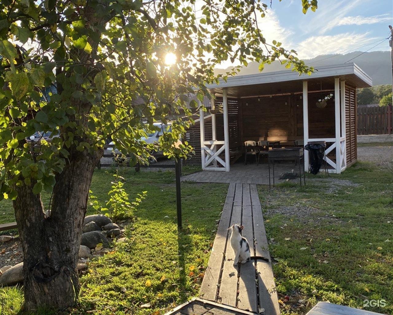 Чемалка - фото 51