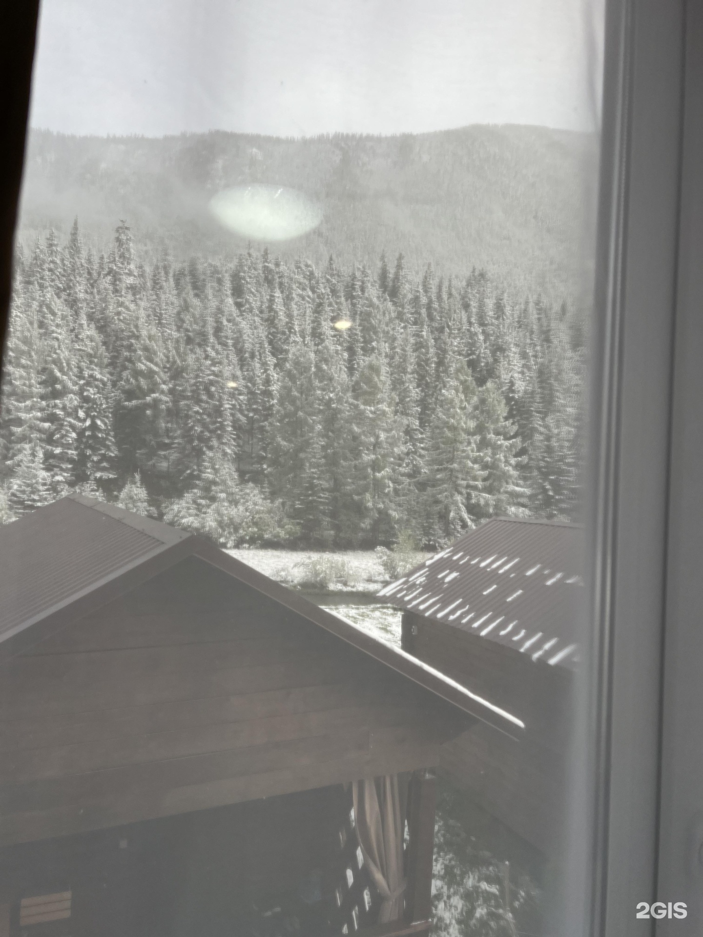 Лесной берег - фото 30