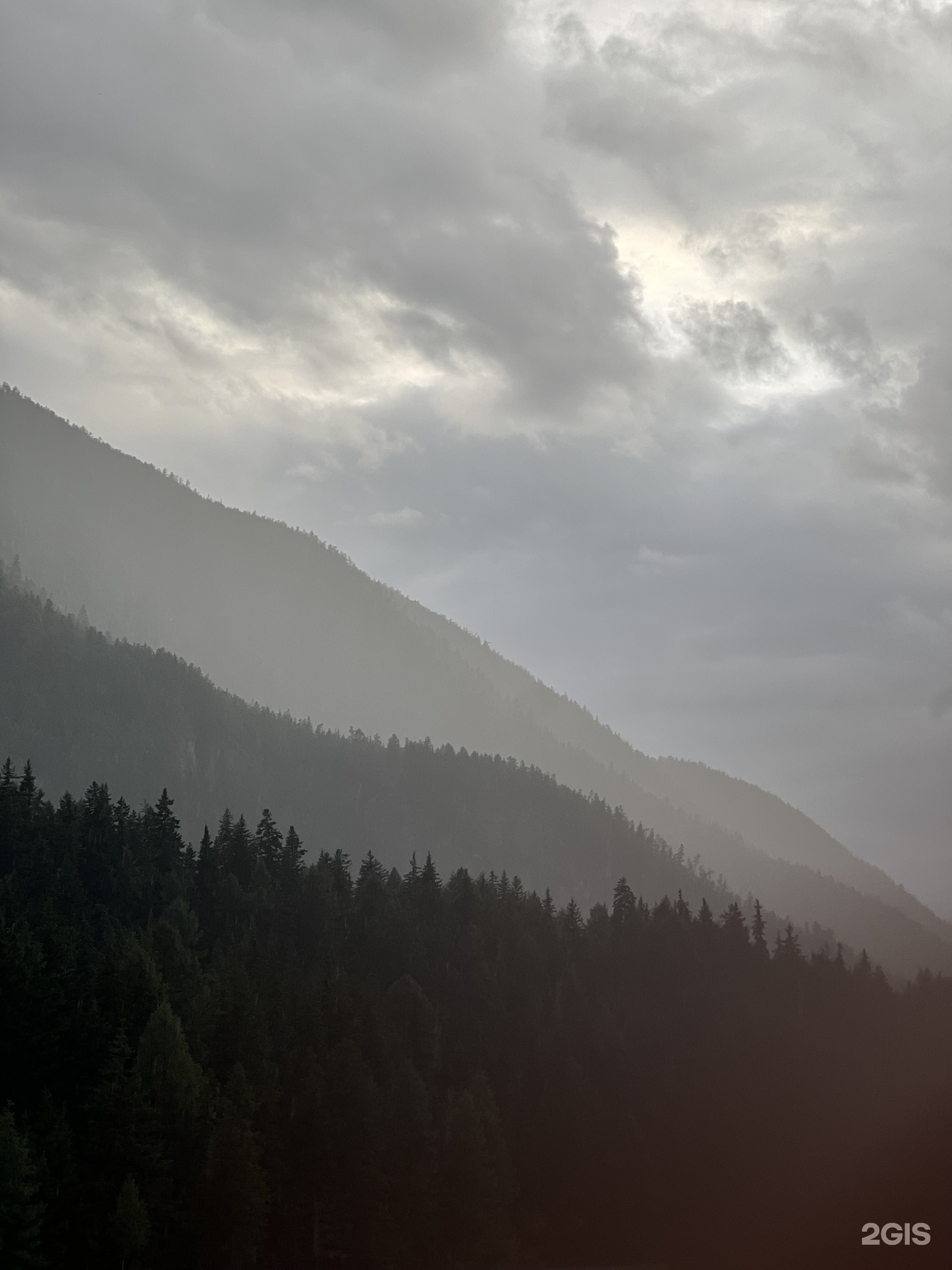 Лесной берег - фото 36