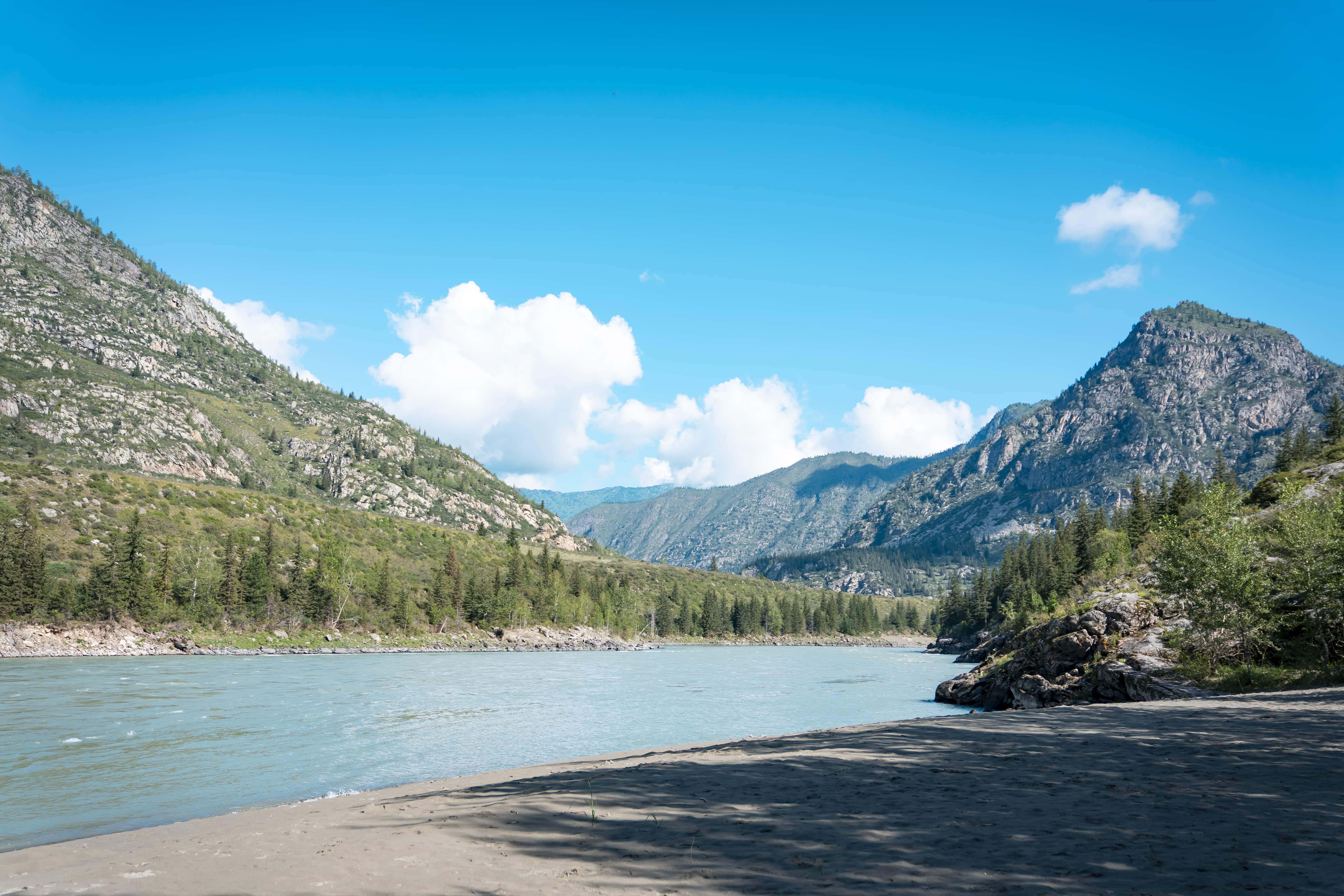 "Катунь-спринт" - фото 5
