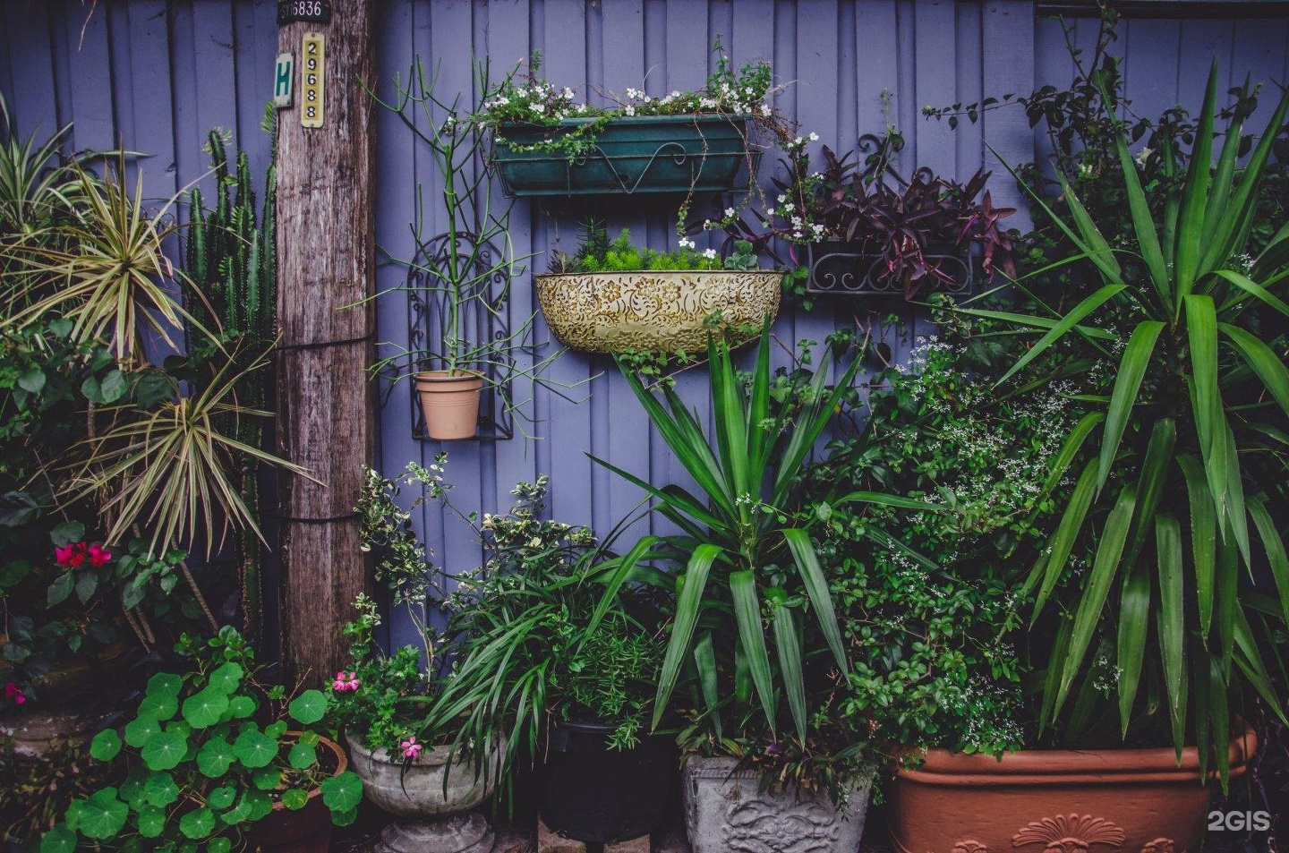 Castle - фото 16