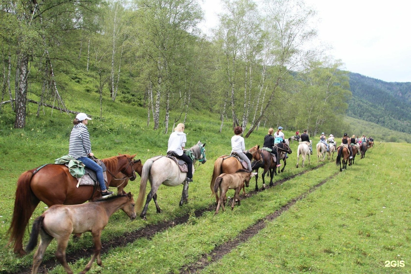 Castle - фото 27