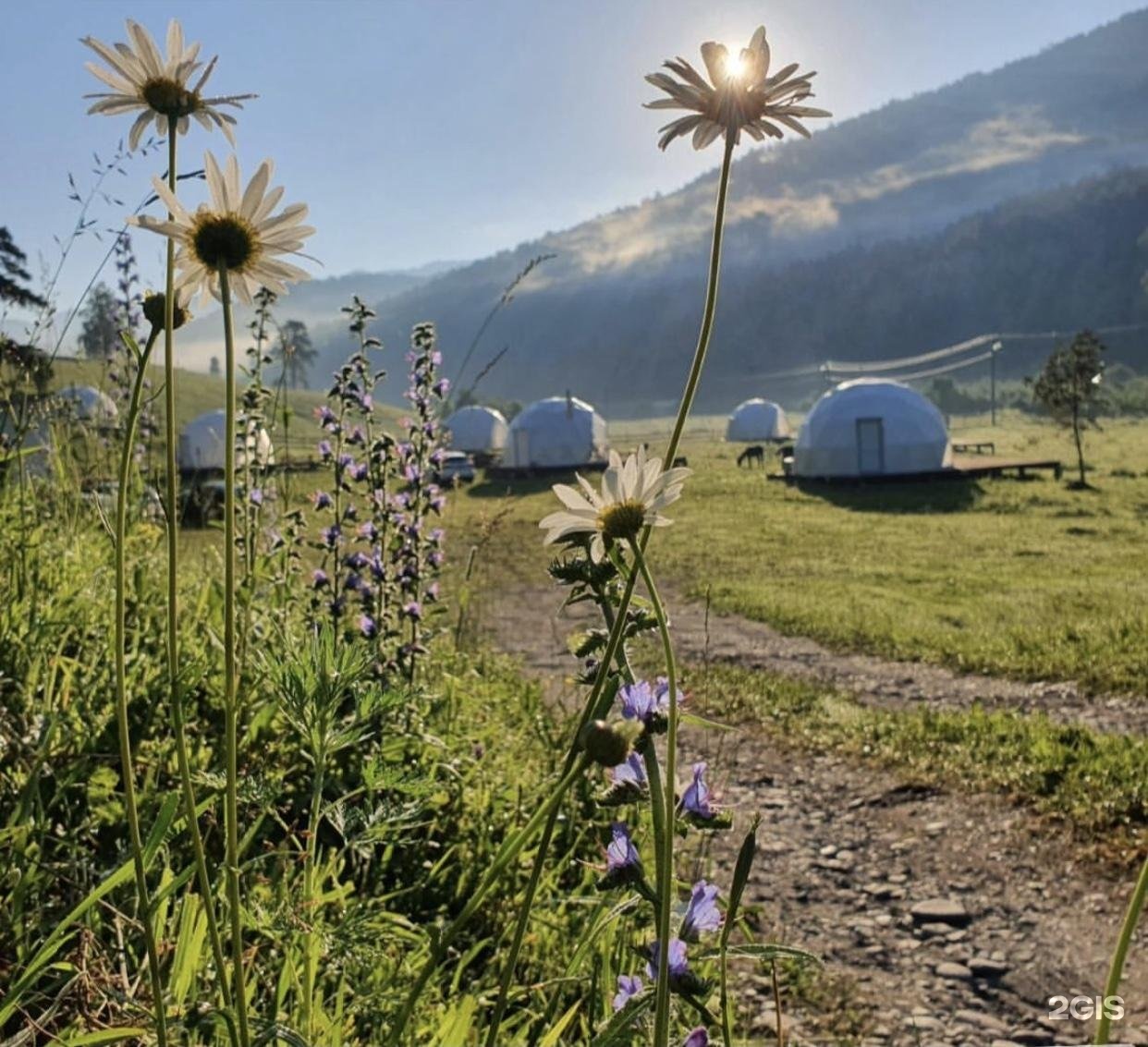 Эхо - фото 11