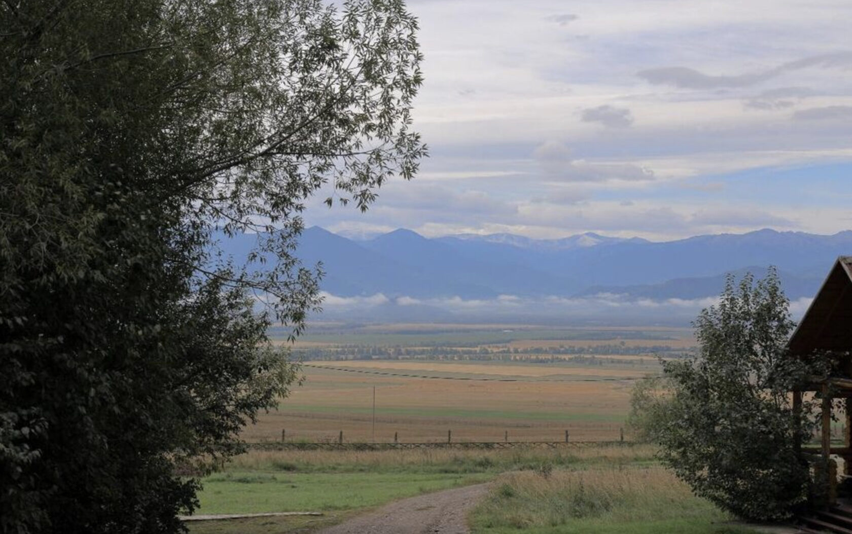 Spirit: Галопом По Уймонской Долине - фото 3