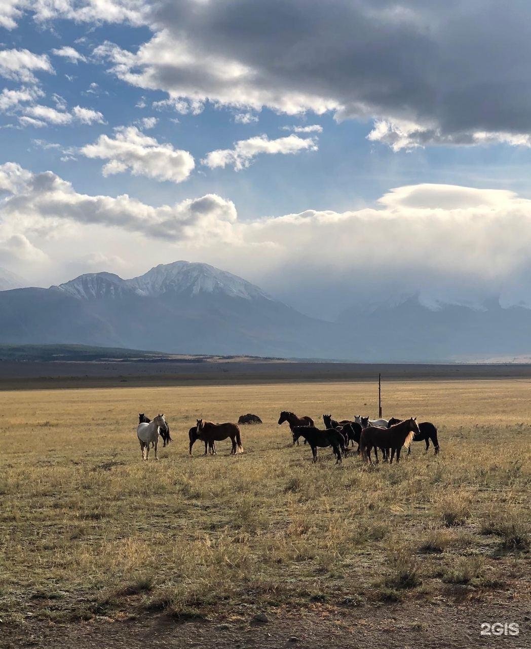 Дом открытого диалога - фото 7