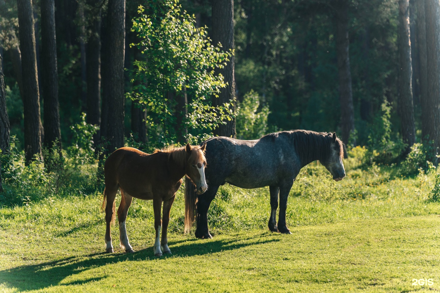 Дом открытого диалога - фото 10