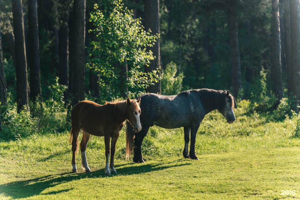 Дом открытого диалога - фото 10