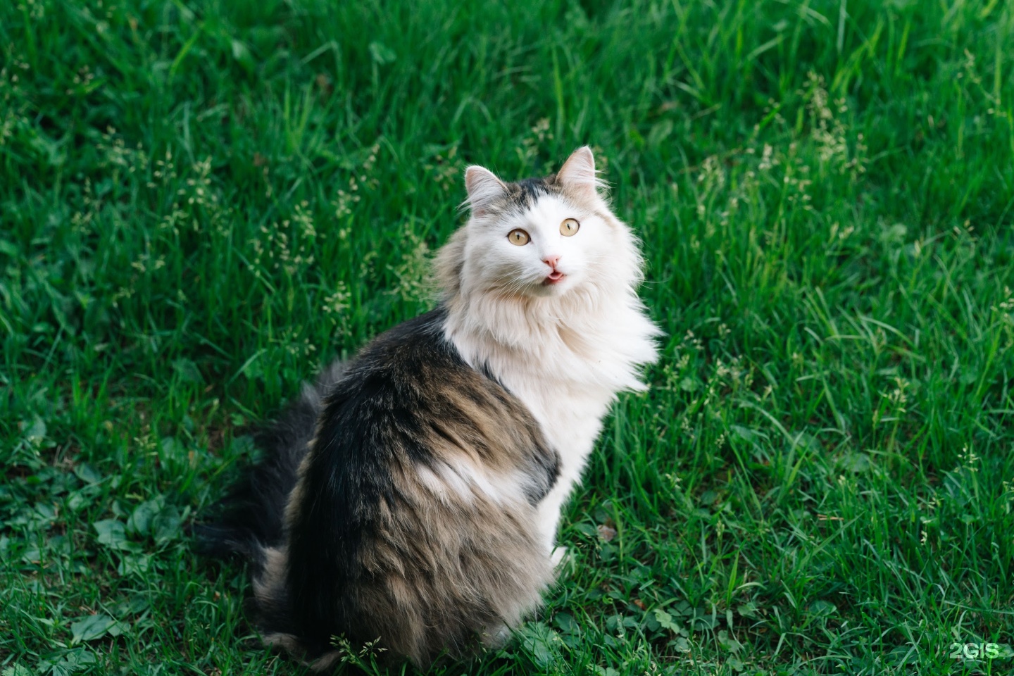 Дом открытого диалога - фото 15