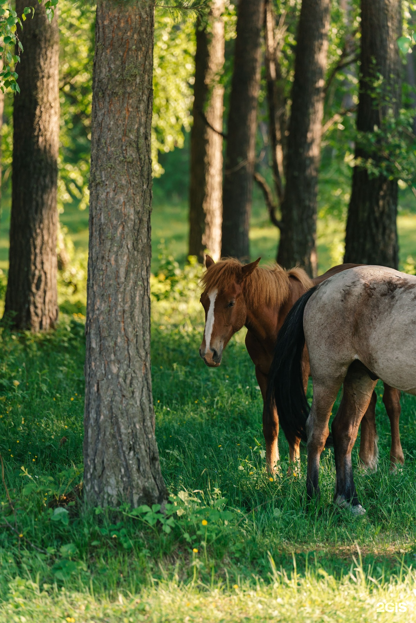 Дом открытого диалога - фото 26