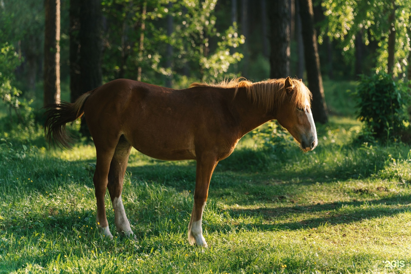 Дом открытого диалога - фото 37