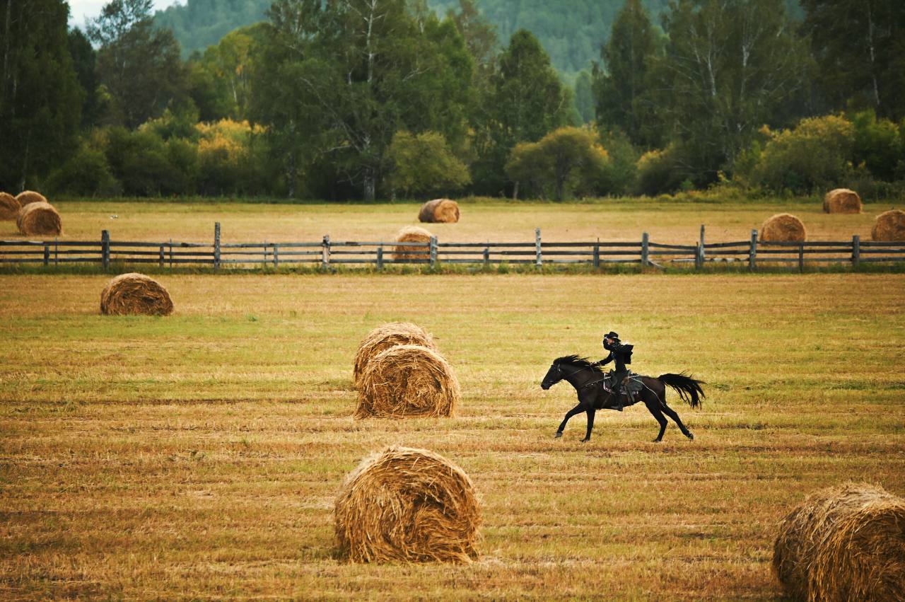 Spirit: Галопом По Уймонской Долине - фото 8